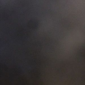 Meet your Posher, Precious